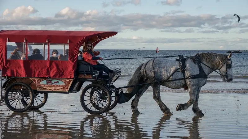 Loisirs-Les Chevaux de la Mer-Saint-Malo