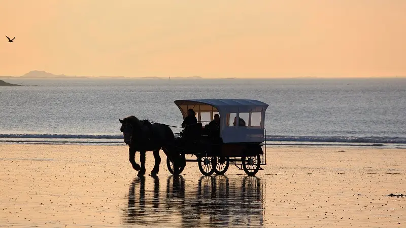 Loisirs-Les Chevaux de la Mer-Saint-Malo