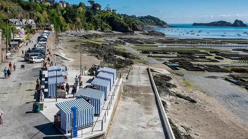 Marché - Marché aux huîtres - Cancale