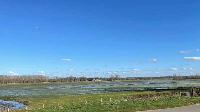 Marais de Sougeal- réserve naturelle régionale- vue