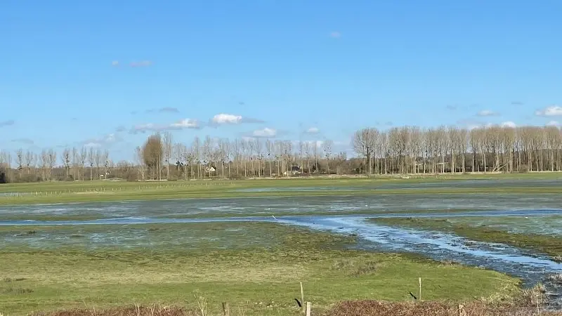 Marais de Sougeal- réserve naturelle régionale