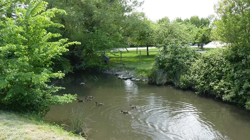 Marre aux canards la ferme du point du jour pour le site