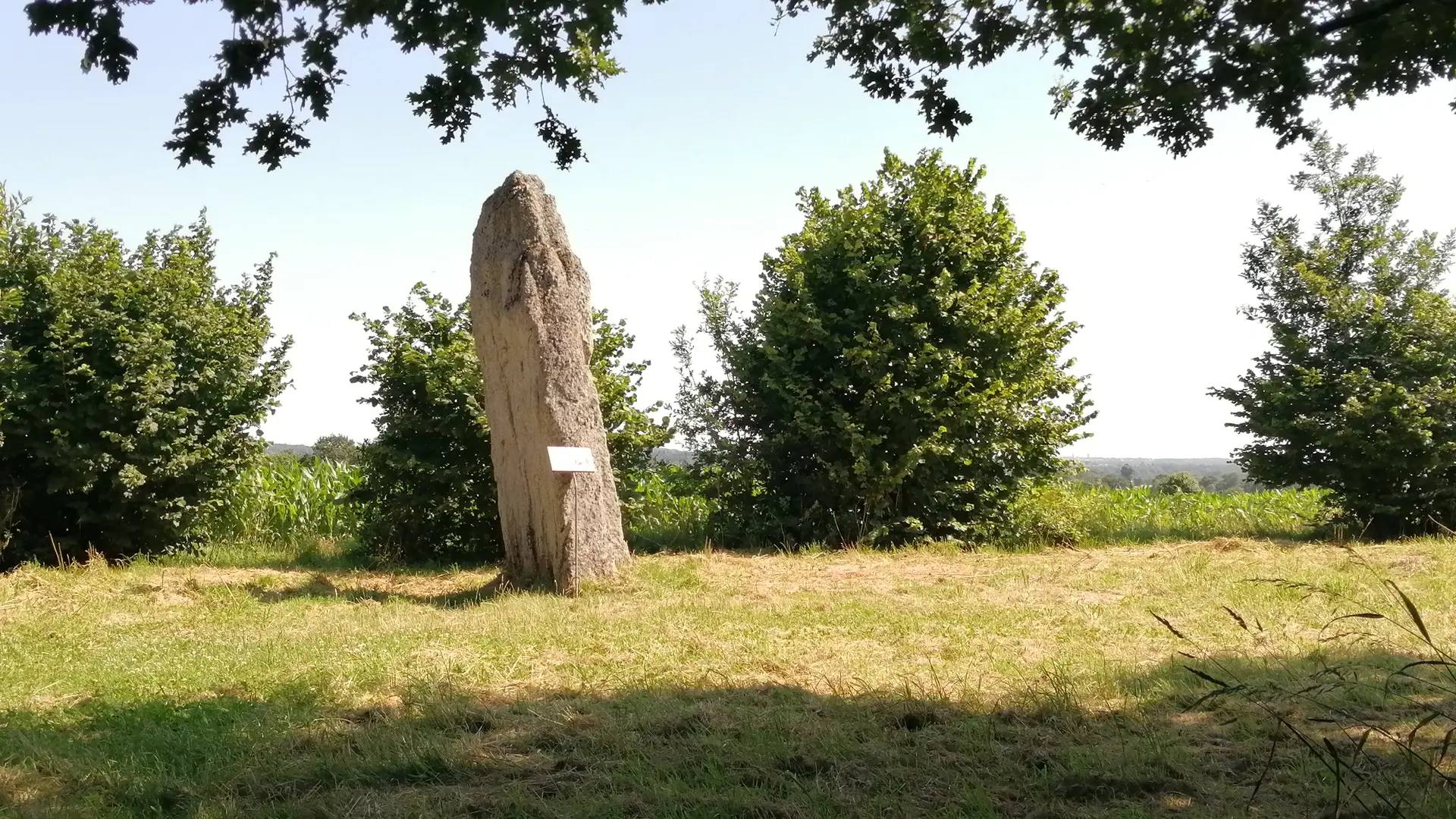 Menhir de la Pierre Longue Iffendic