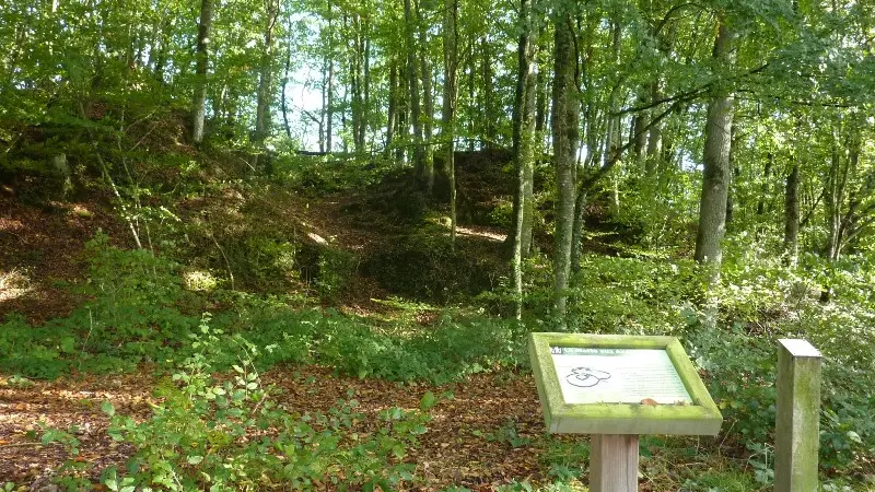 Motte-aux-Anglais--OTSMBMSM