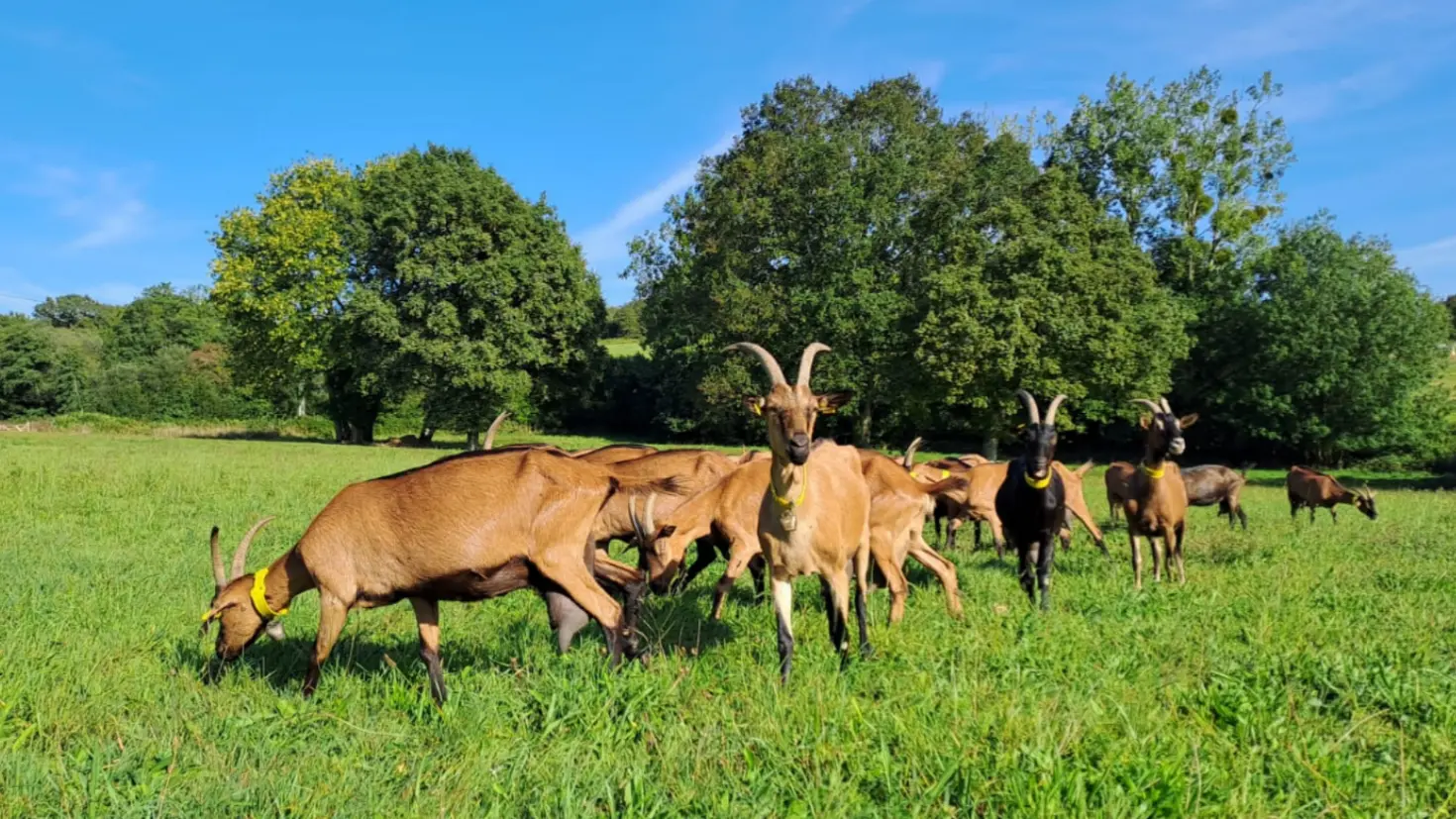 La ferme d'Hermeillon