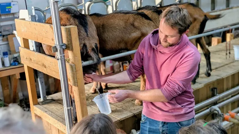 La ferme d'Hermeillon