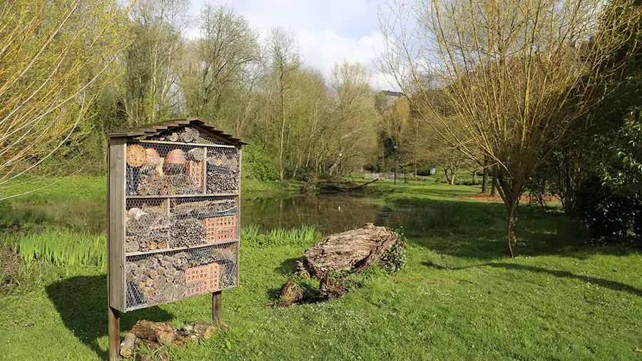 Ville de Fougères, hôtel  à Insectes