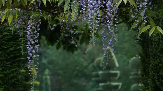 Jardins du Château de la Ballue à Bazouges-la-Pérouse