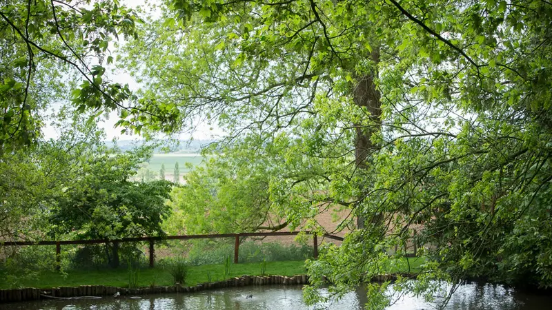 Jardins du Château de la Ballue à Bazouges-la-Pérouse