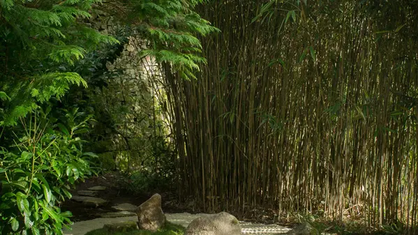 Jardins du Château de la Ballue à Bazouges-la-Pérouse