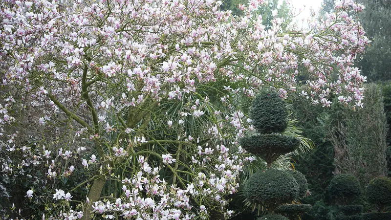 Jardins du Château de la Ballue à Bazouges-la-Pérouse