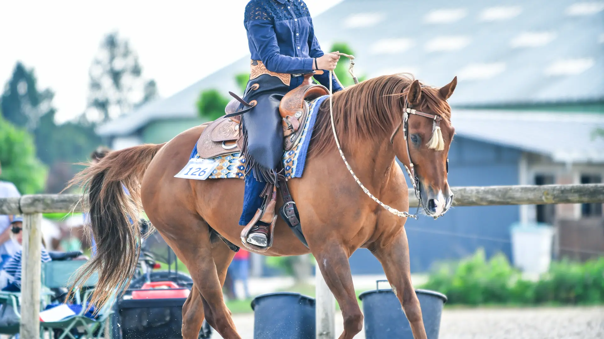 Ecuries Breizh Valley