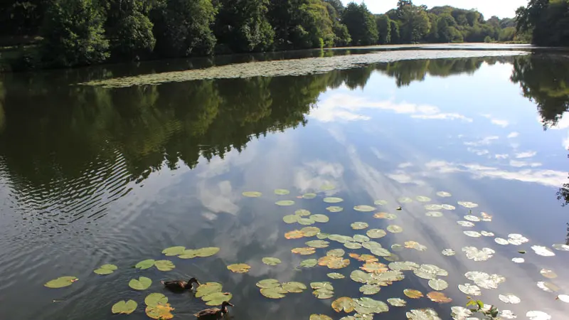 Etang du Moulin aux Moines