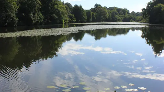 Etang du Moulin aux Moines