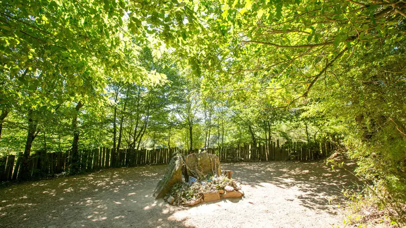 Tombeau de Merlin forêt de Brocéliande