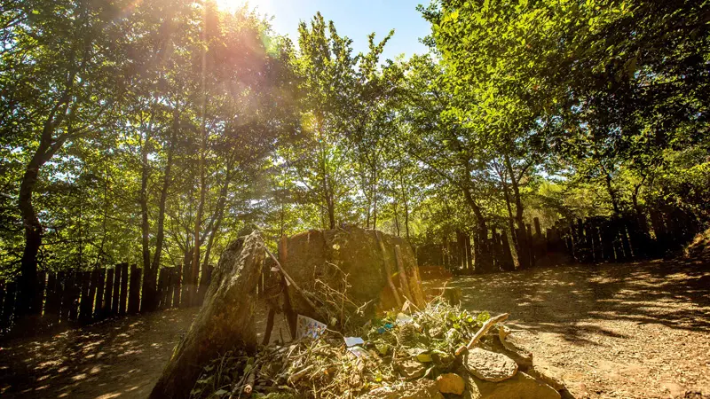 Tombeau de Merlin forêt de Brocéliande