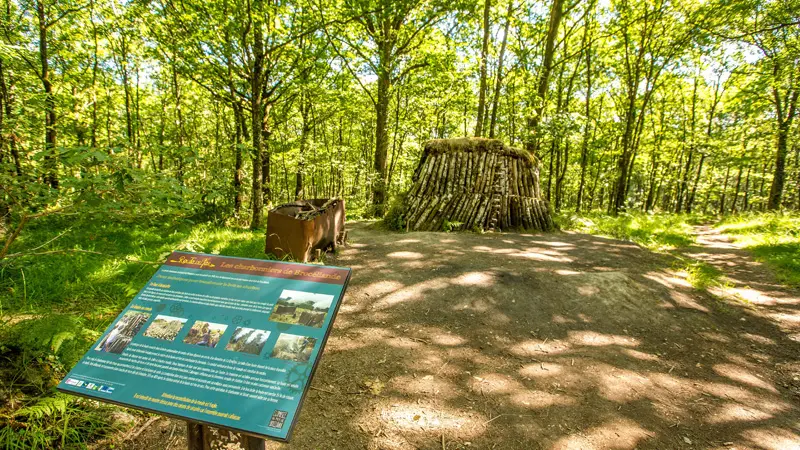 Forêt de Brocéliande