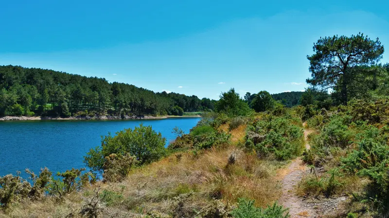 Retenue de la Chèze à Saint-Thurial