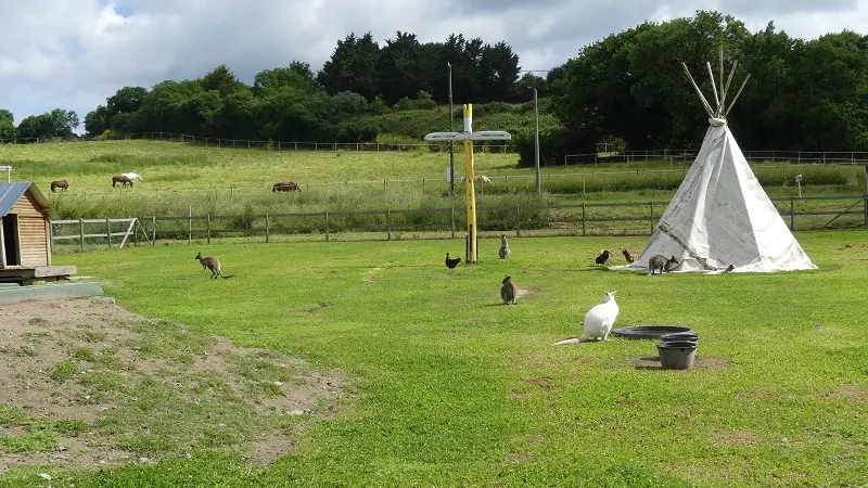 Parc animalier 2 la ferme du point du jour pour site