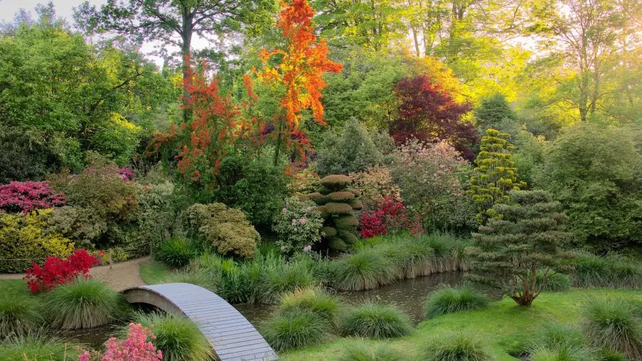 Parc Botanique de Haute Bretagne - Jardins du Soleil Levant 2
