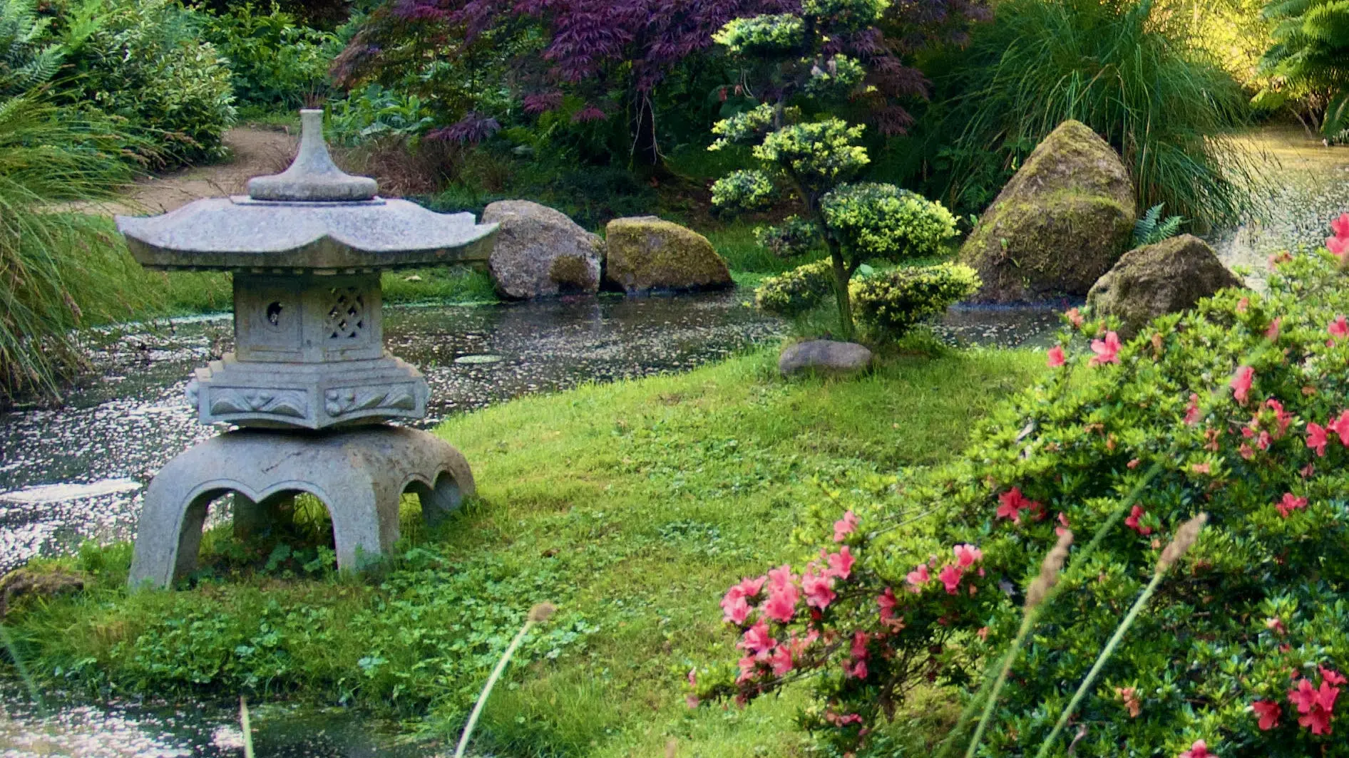 Parc botanique de Haute Bretagne  (4)