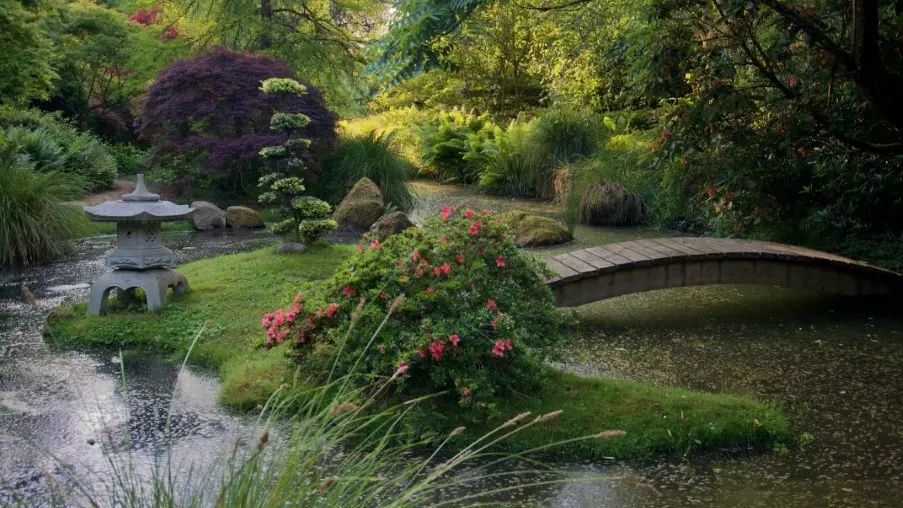 Parc Botanique de Haute Bretagne - Jardins du Soleil Levant