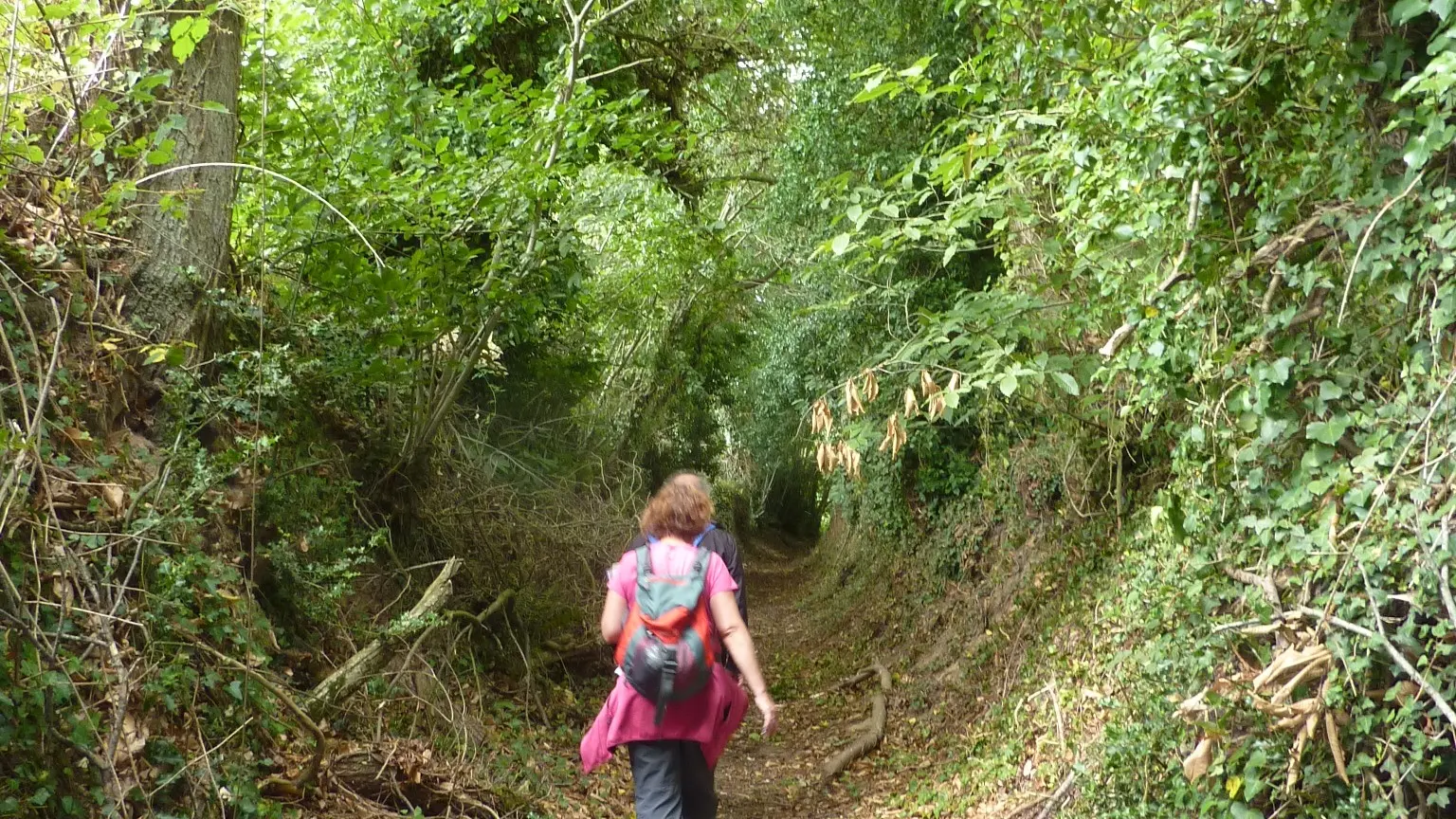 Photo sentier randonneuse