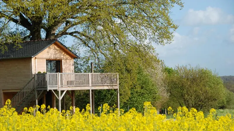 Printemps cabane la bourousais - MAURE DE BRETAGNE