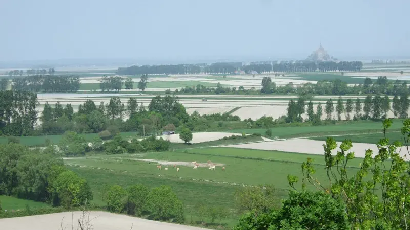 Baie du Mont-St-Michel