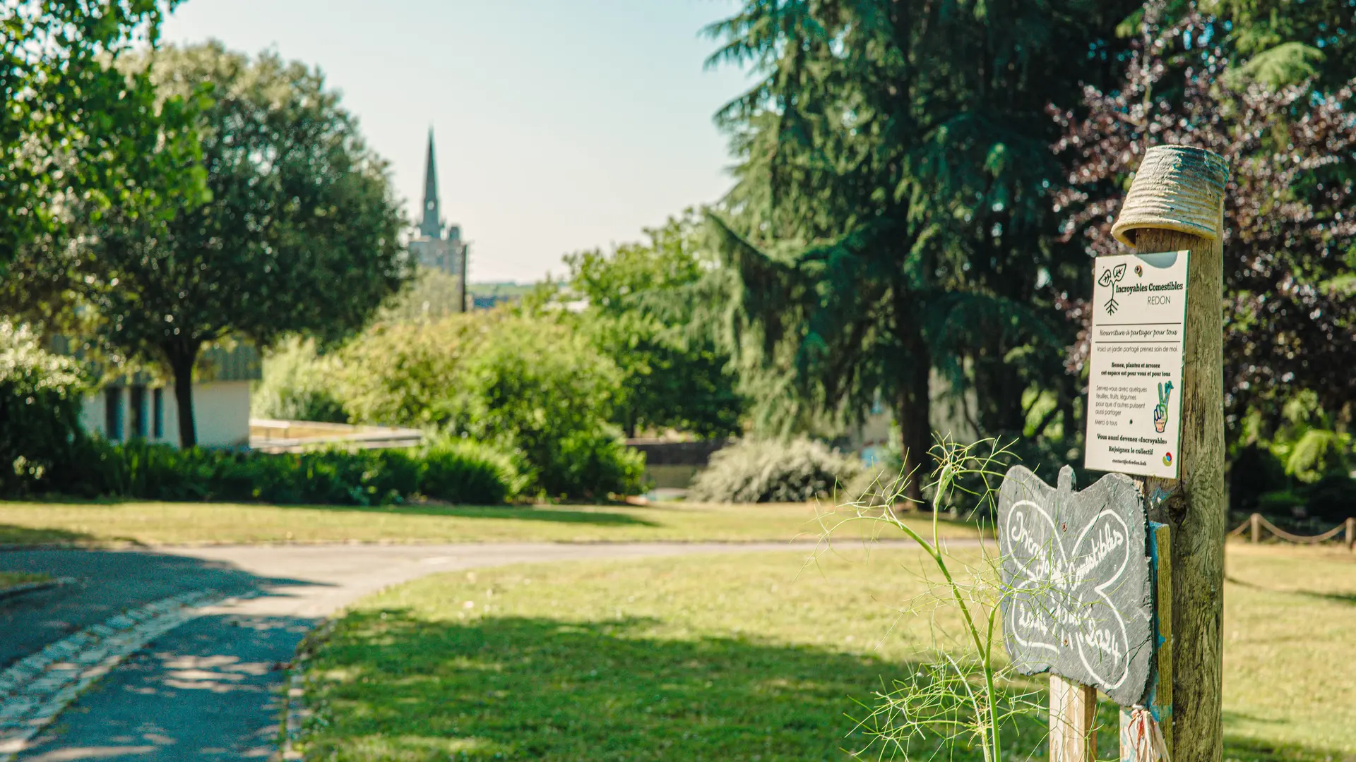 REDON - Parc De Bel Air_bauthamy madoline (189 (1)
