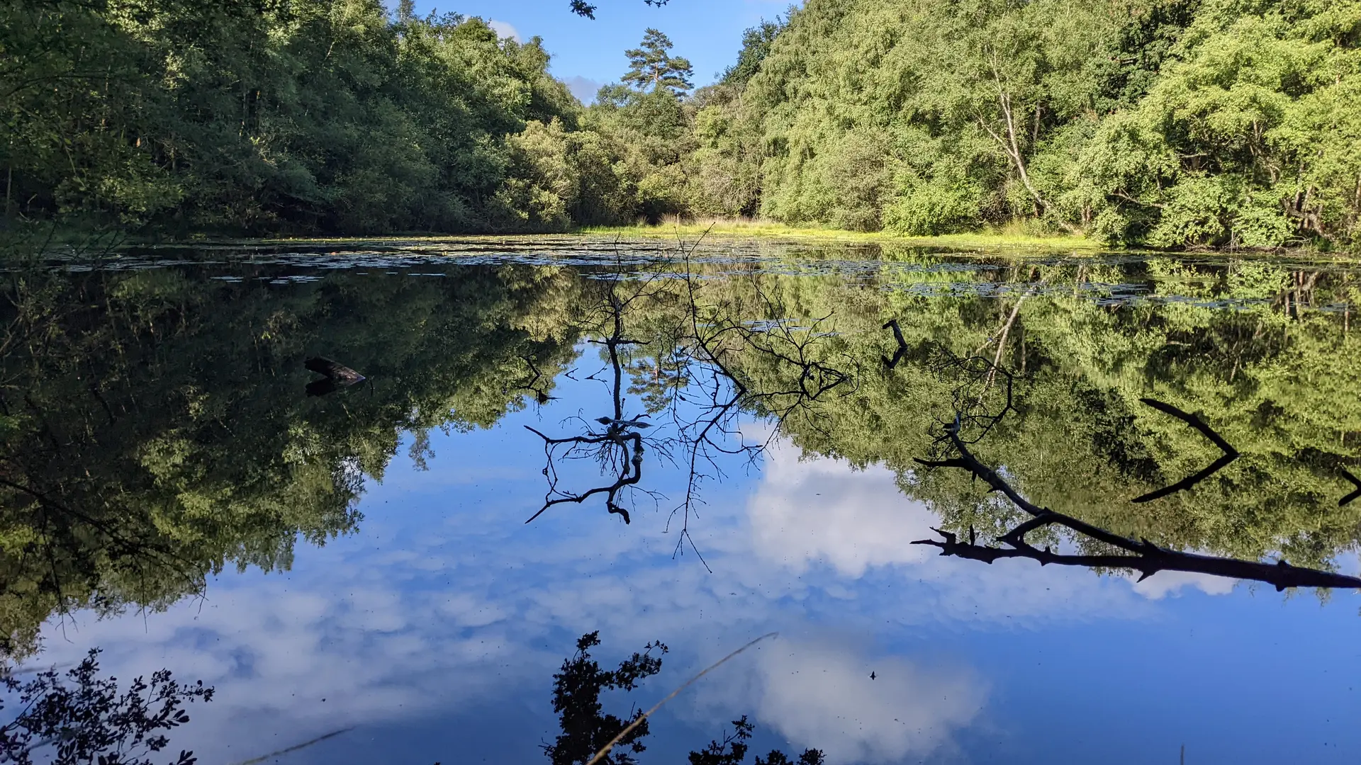 Etang de Carrouët