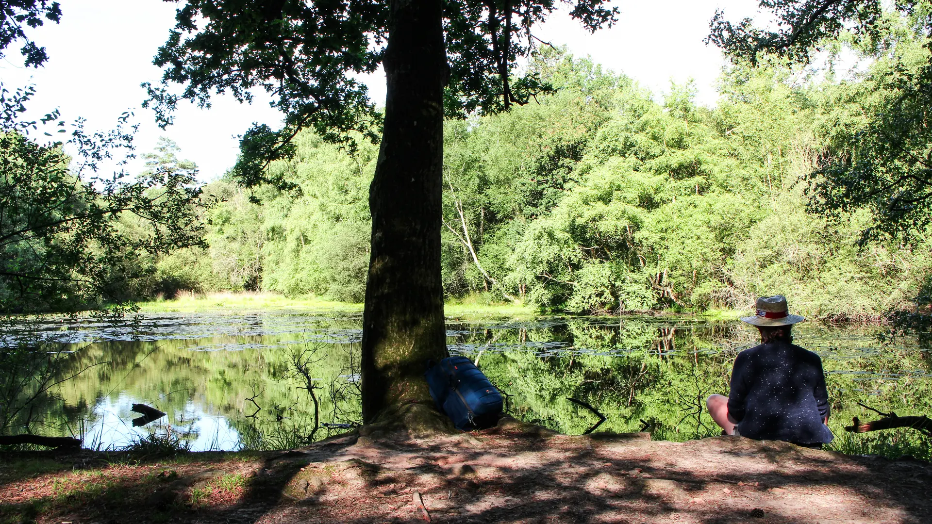 Etang de Carrouët