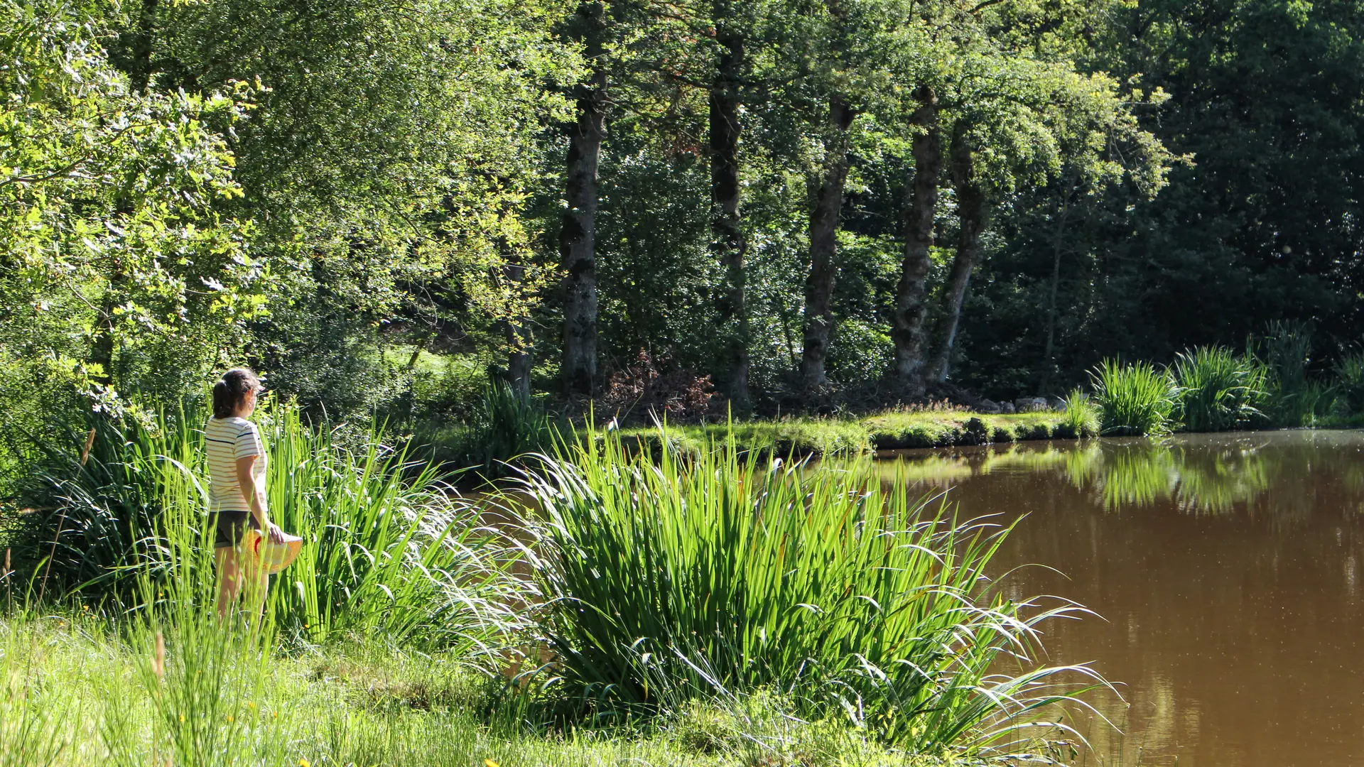 Etang de Carrouët