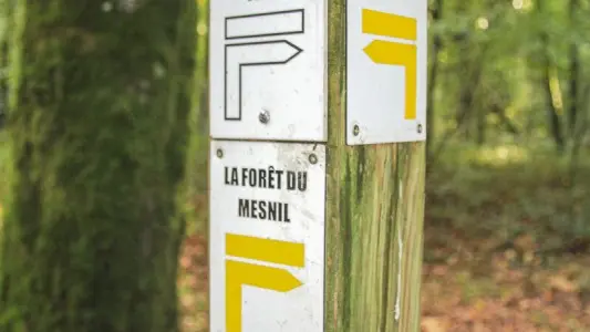 Signalétique Forêt du Mesnil
