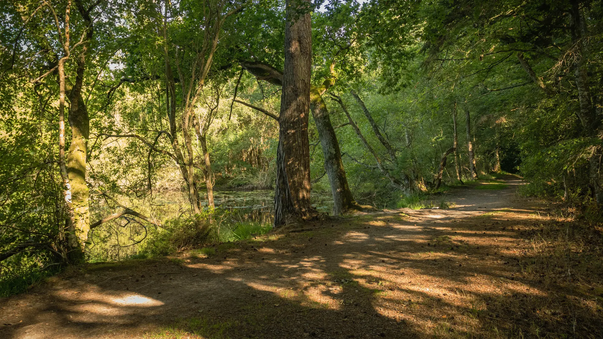 Etang de Carrouët