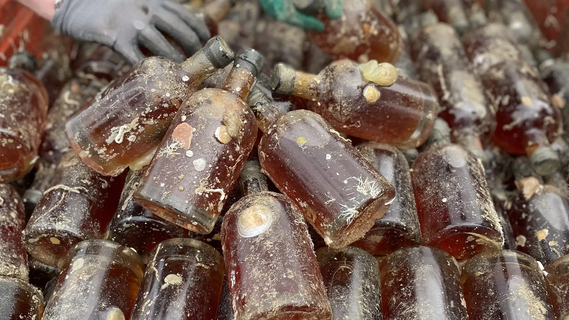 Rhum immergé - vieilli en mer Saint Jouan