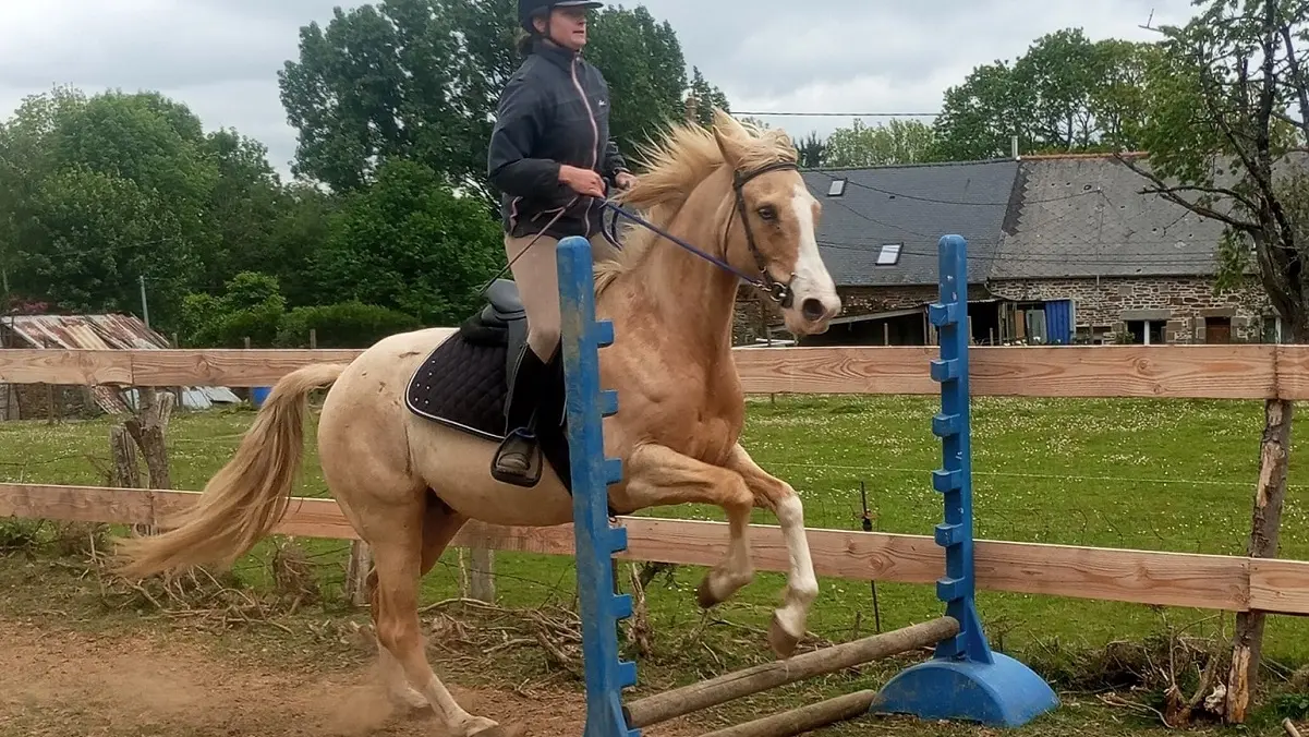 Saut à cheval