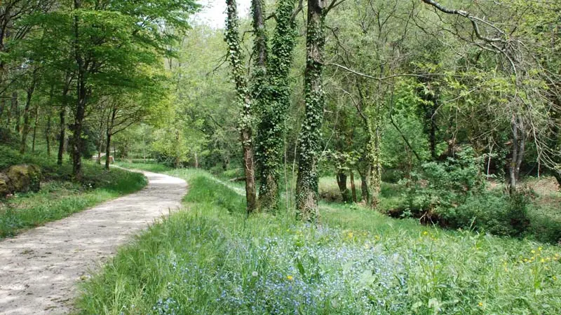 Sentier de Ropenard