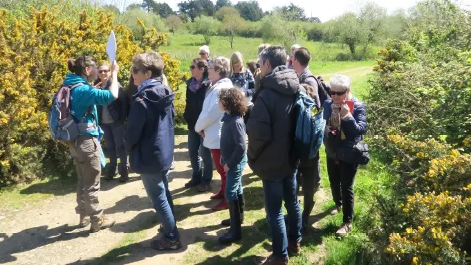 Sortie nature-Escale Bretagne Saint-Lunaire