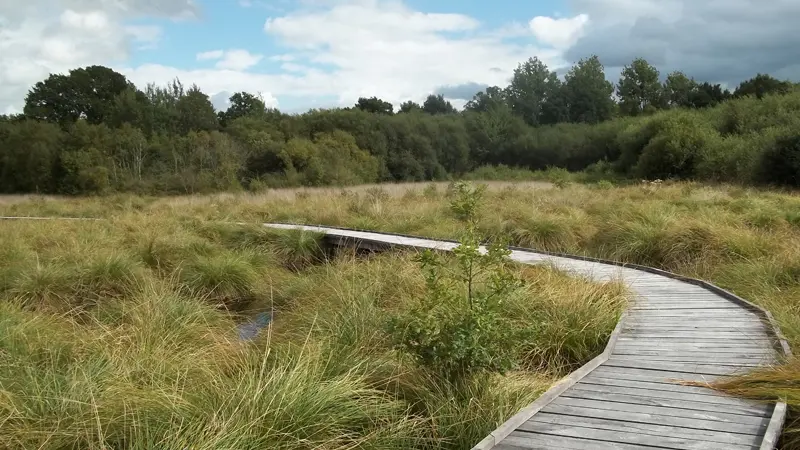 Tourbière_landemarais