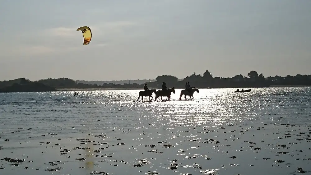 Ty Haras Lancieux - Promenade dans la Baie