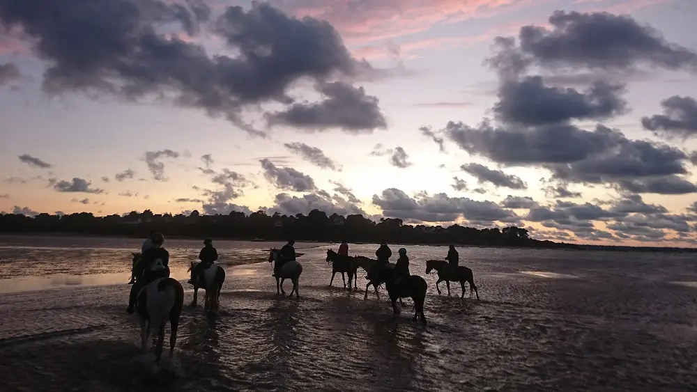 Ty Haras Lancieux - Promenade en soirée