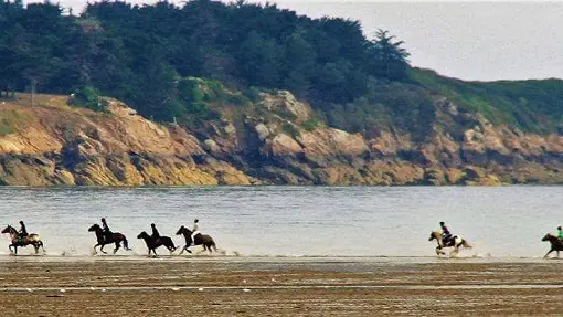 Ty Haras Lancieux - Promenade sur la plage