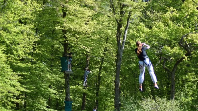 Vue sur le parc accrobranche