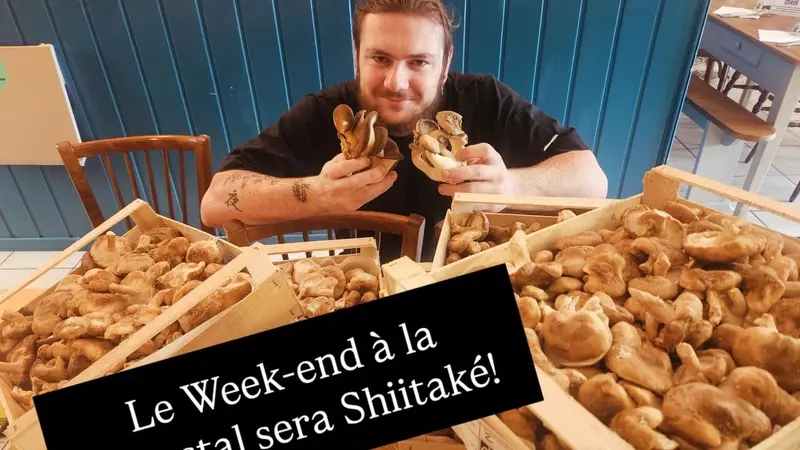 La Shiitake