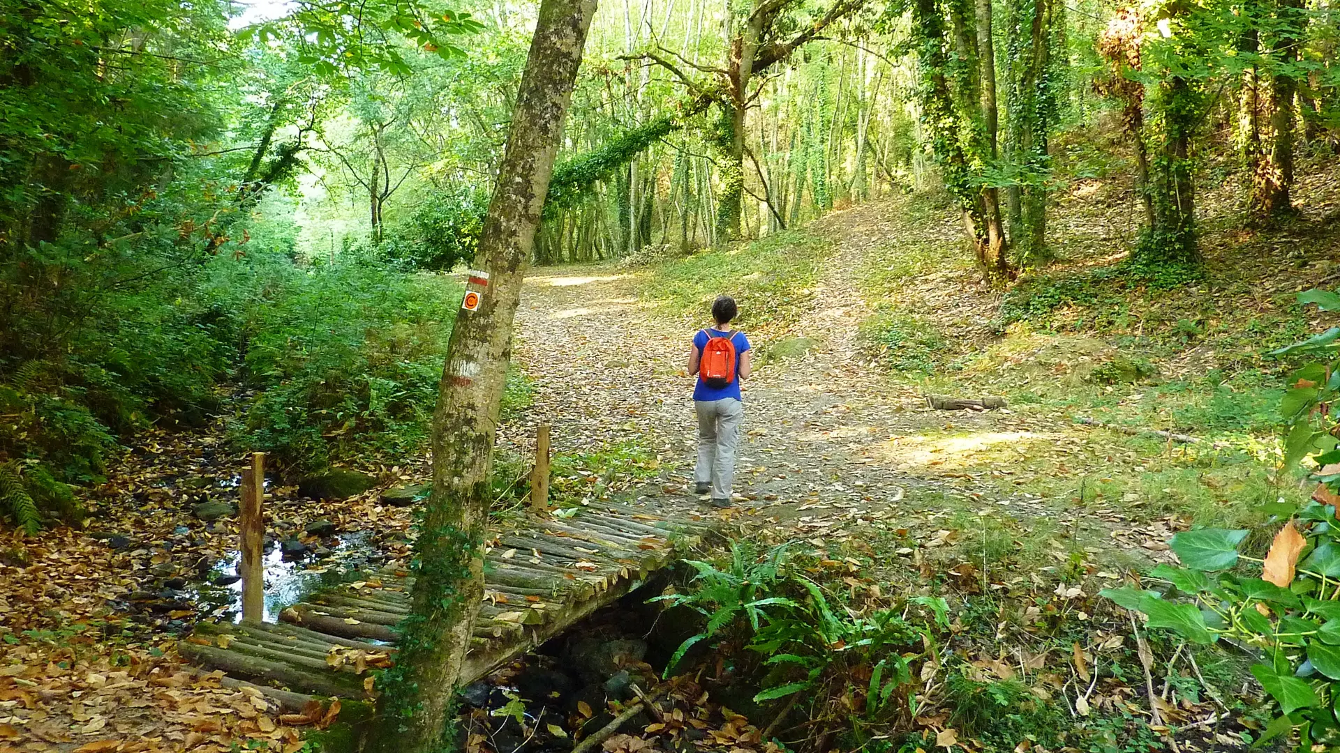 Vallée de Riskop SMBMSM
