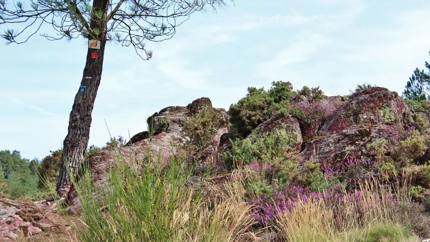 Vallon de la chambre au Loup Iffendic Brocéliande Bretagne ©office de tourisme lac de Trémelin (4)