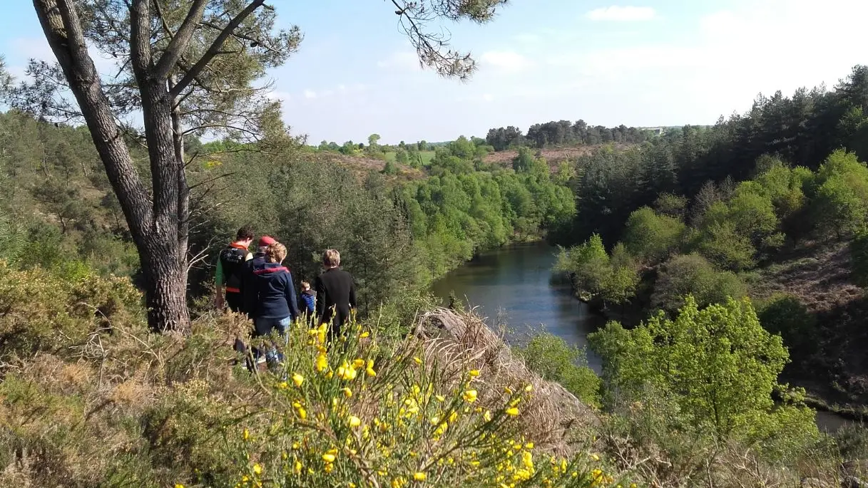 Vallon de la chambre au Loup Iffendic Brocéliande Bretagne ©office de tourisme lac de Trémelin (7)