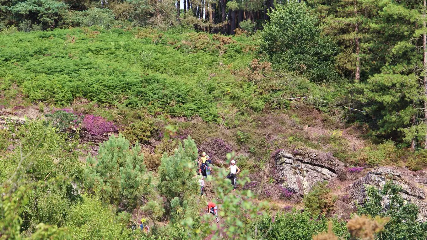 Vallon de la chambre au Loup Iffendic Brocéliande Bretagne ©office de tourisme lac de Trémelin (2)