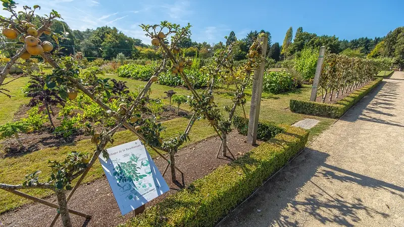 Verger et potager de la Bourbansais